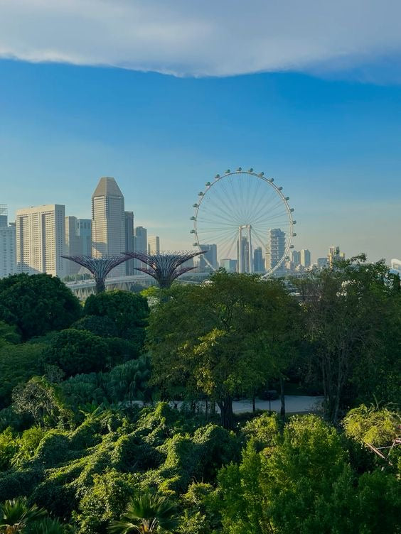 Cena Romántica Singapur