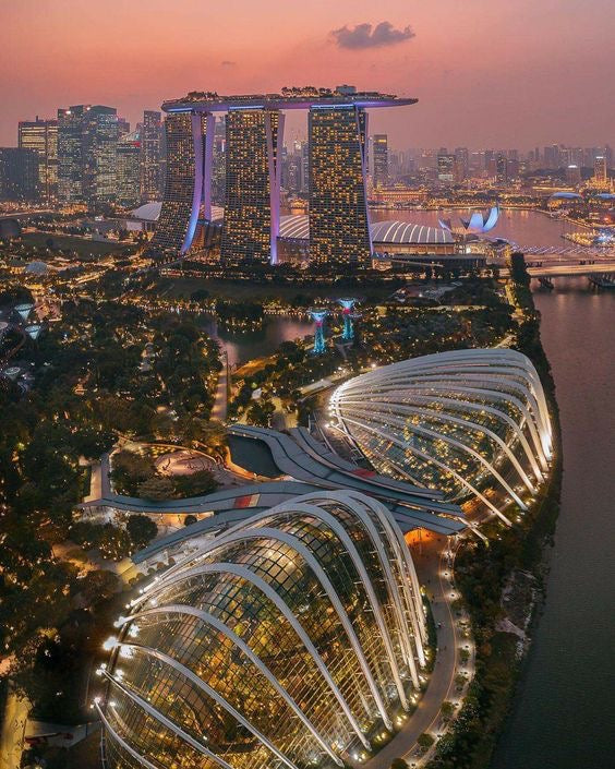 Vuelo Maldivas-Singapur Jane