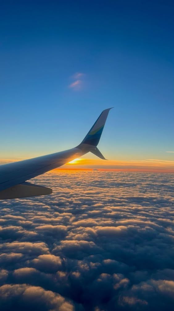 Vuelo Regreso LAX-GDL Roger