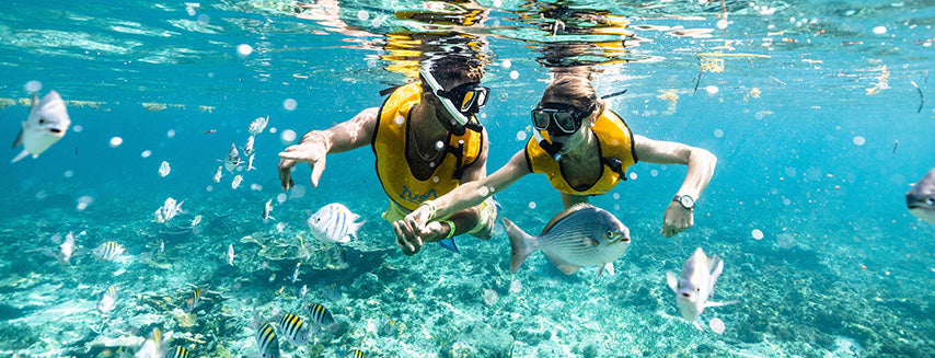 Experiencia Snorkel Maldivas